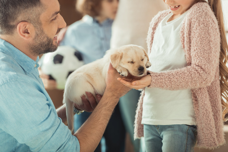 accueillir un chiot dans son nouveau foyer