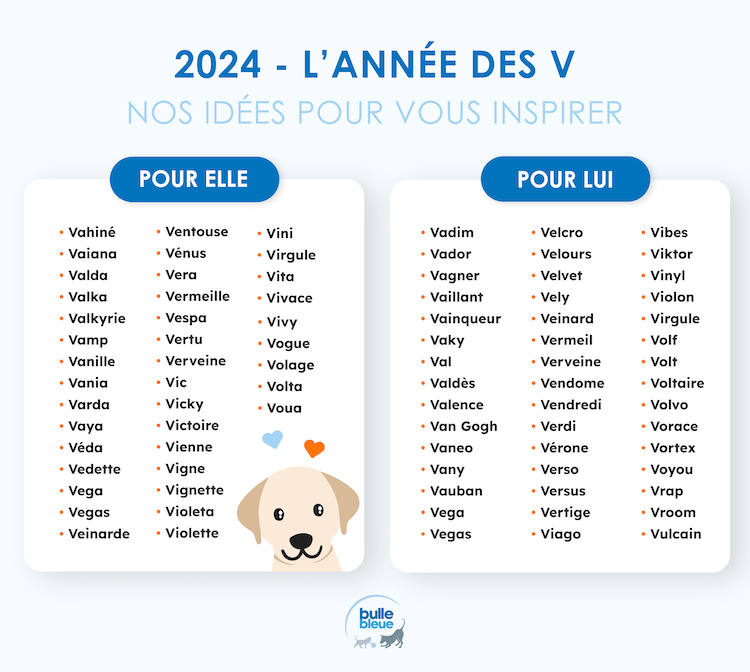 Trouver un nom de chiens avec la lettre V en 2024